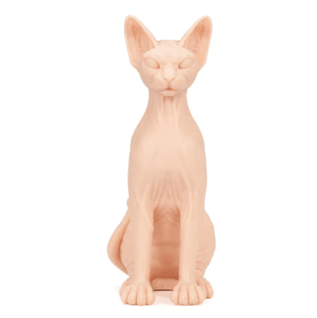 A Pound of Flesh Tattooable Naked Sphynx Cat - Tattoo Everything Supplies