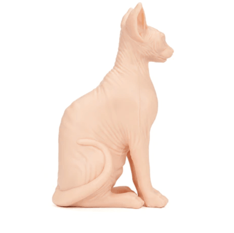 A Pound of Flesh Tattooable Naked Sphynx Cat