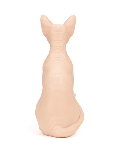 A Pound of Flesh Tattooable Naked Sphynx Cat - Tattoo Everything Supplies