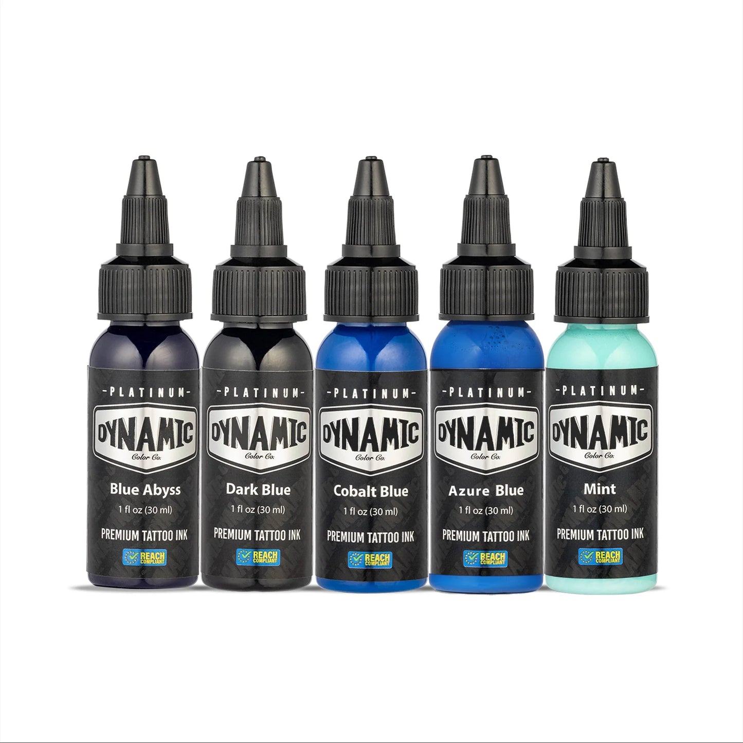 Dynamic Tattoo Ink Lagoon 1oz Colour 5 Set